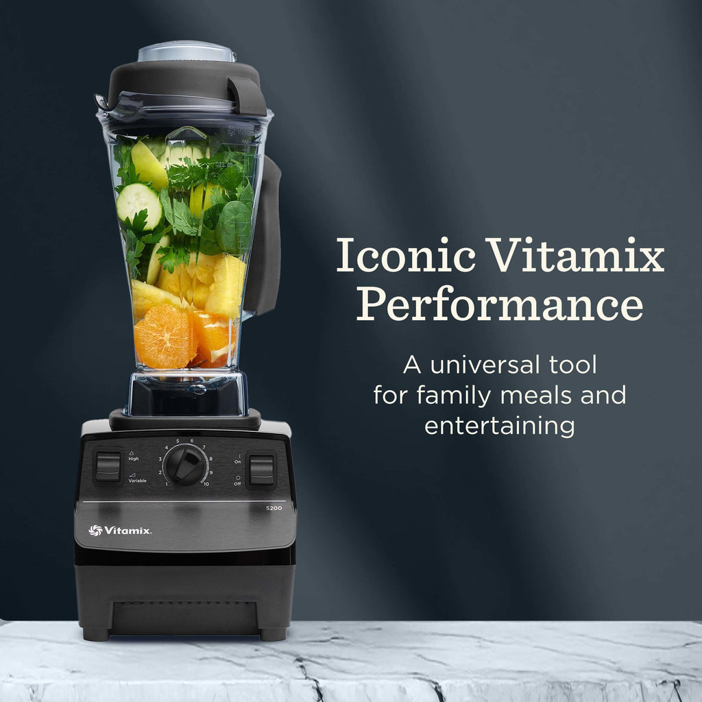 Vitamix Series Blender