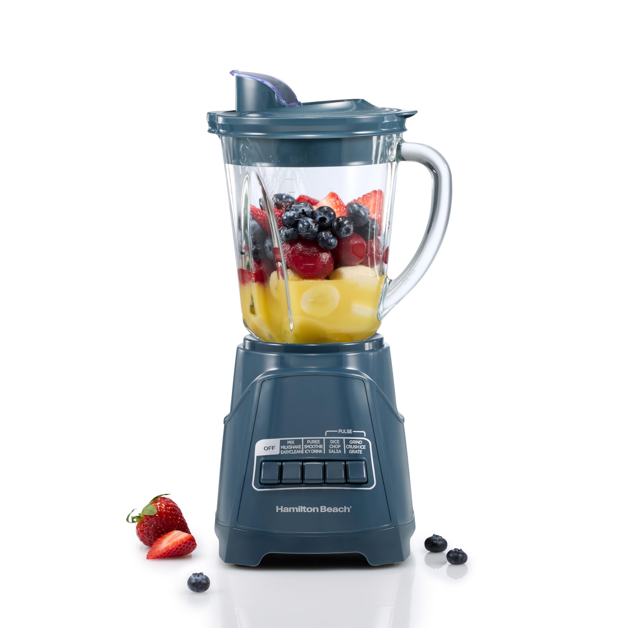 Hamilton Beach Power Elite Blender
