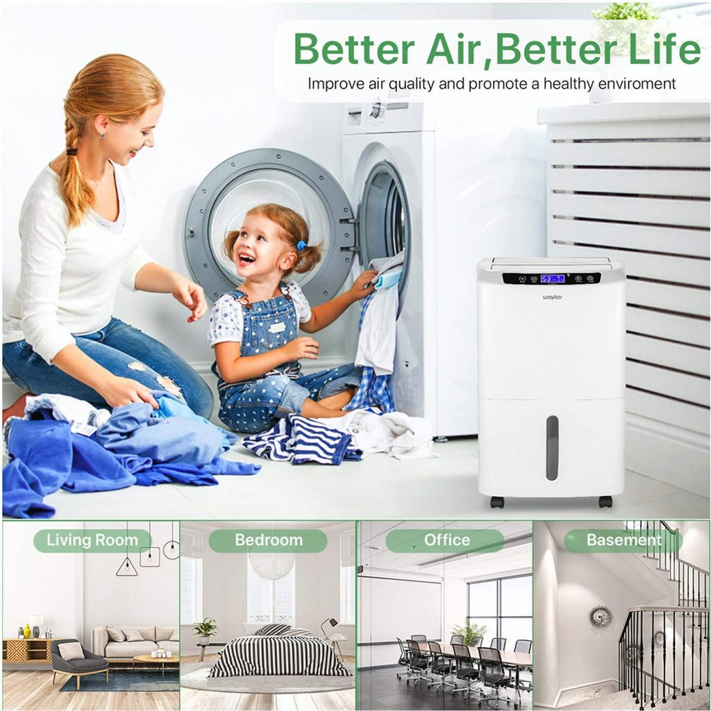 Dehumidifier for Basement & Large Rooms