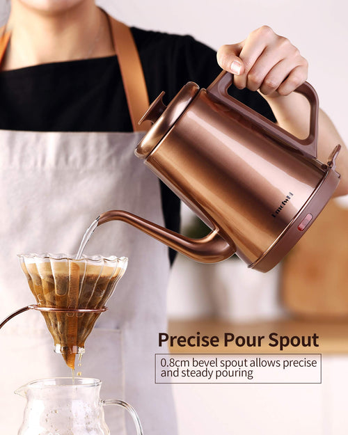 1.0L Gooseneck Electric Kettle