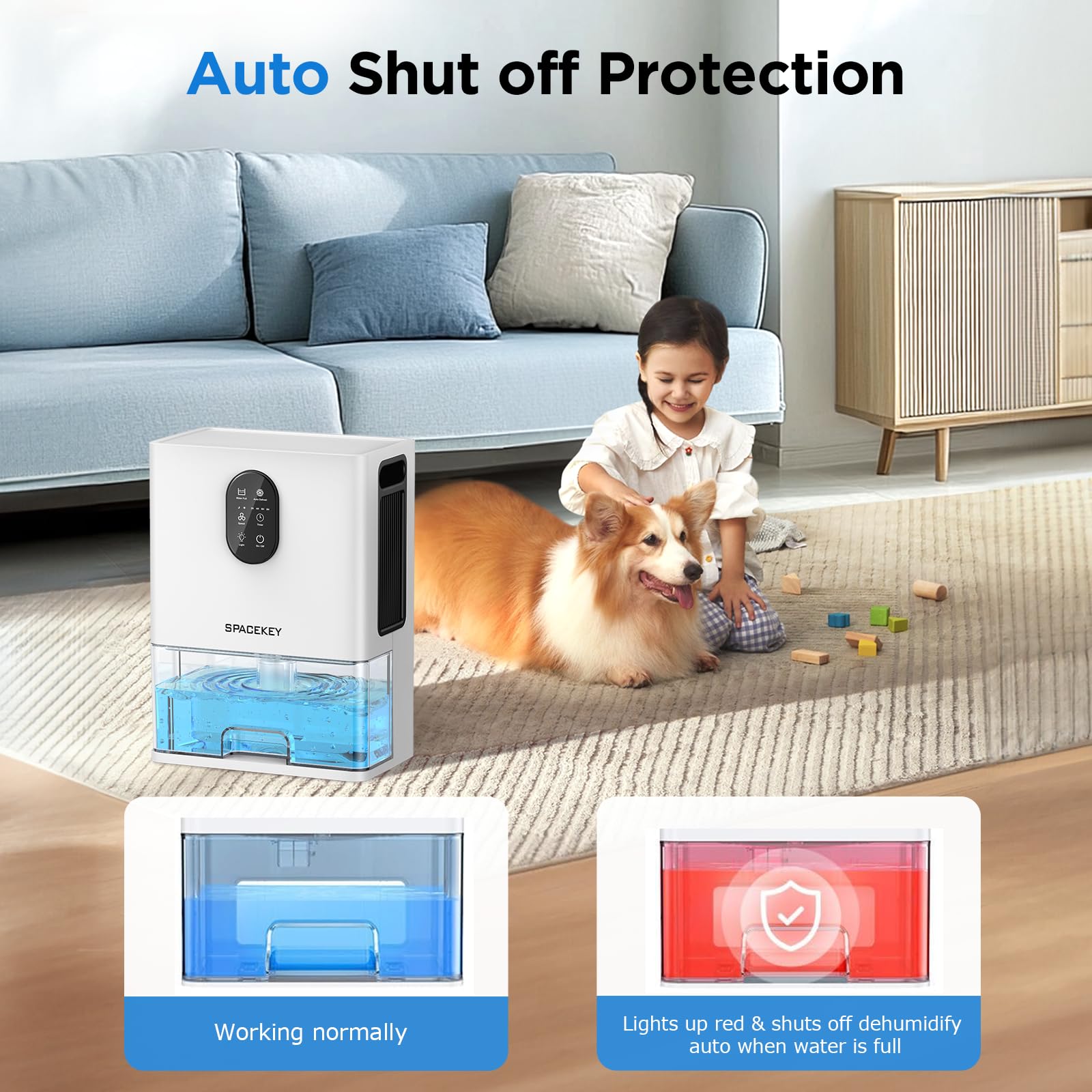 106 OZ Dehumidifier for Home & Basement