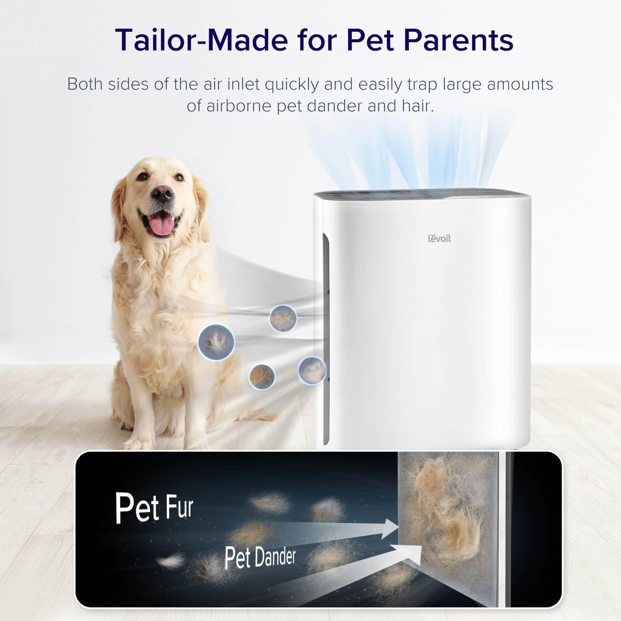 Air Purifier for Bedroom & Home