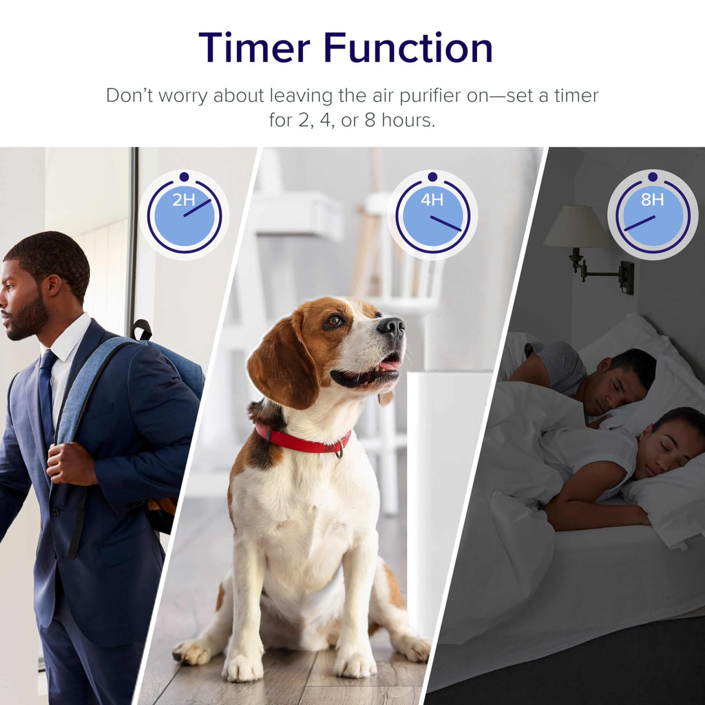 Air Purifier for Bedroom & Home