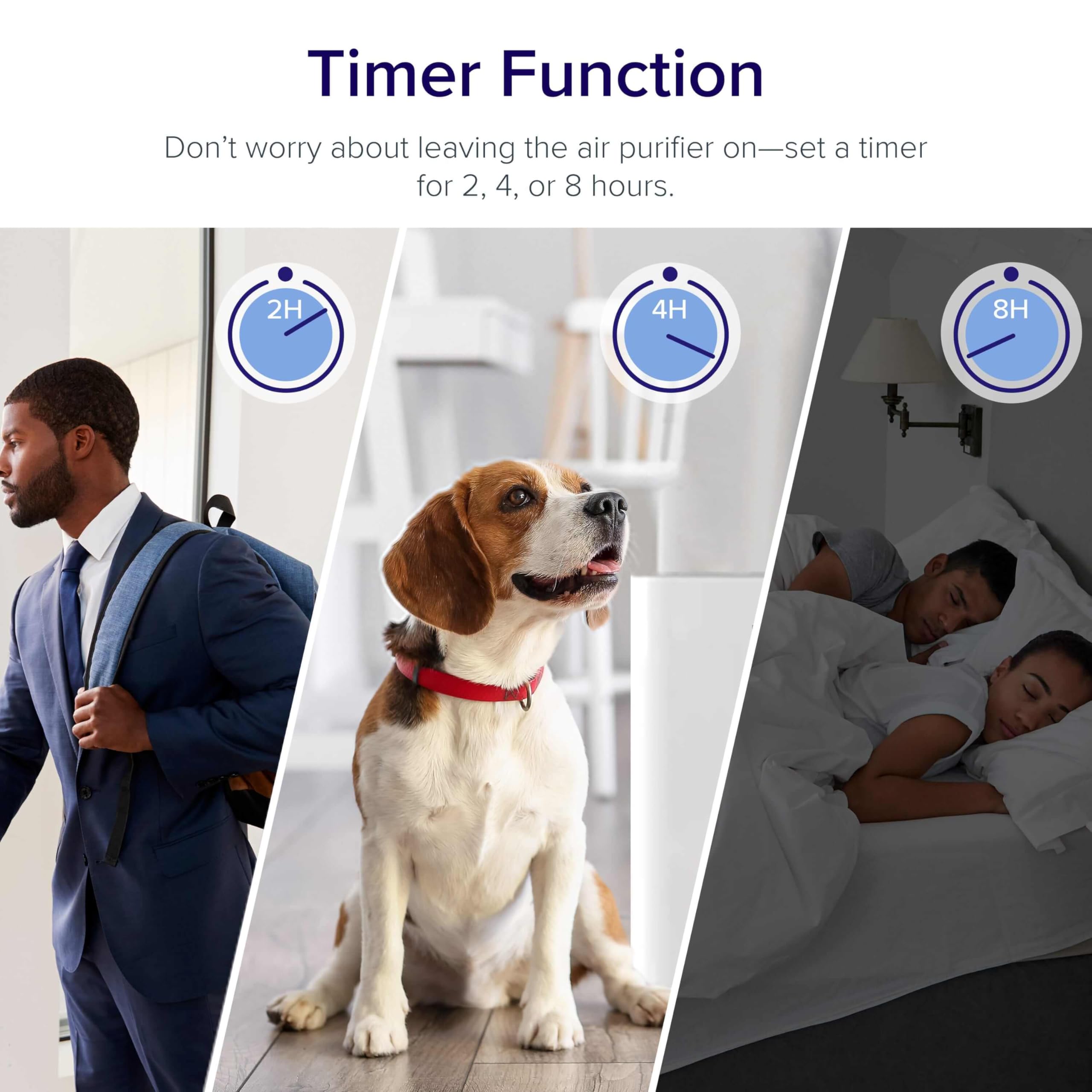 Air Purifier for Bedroom & Home