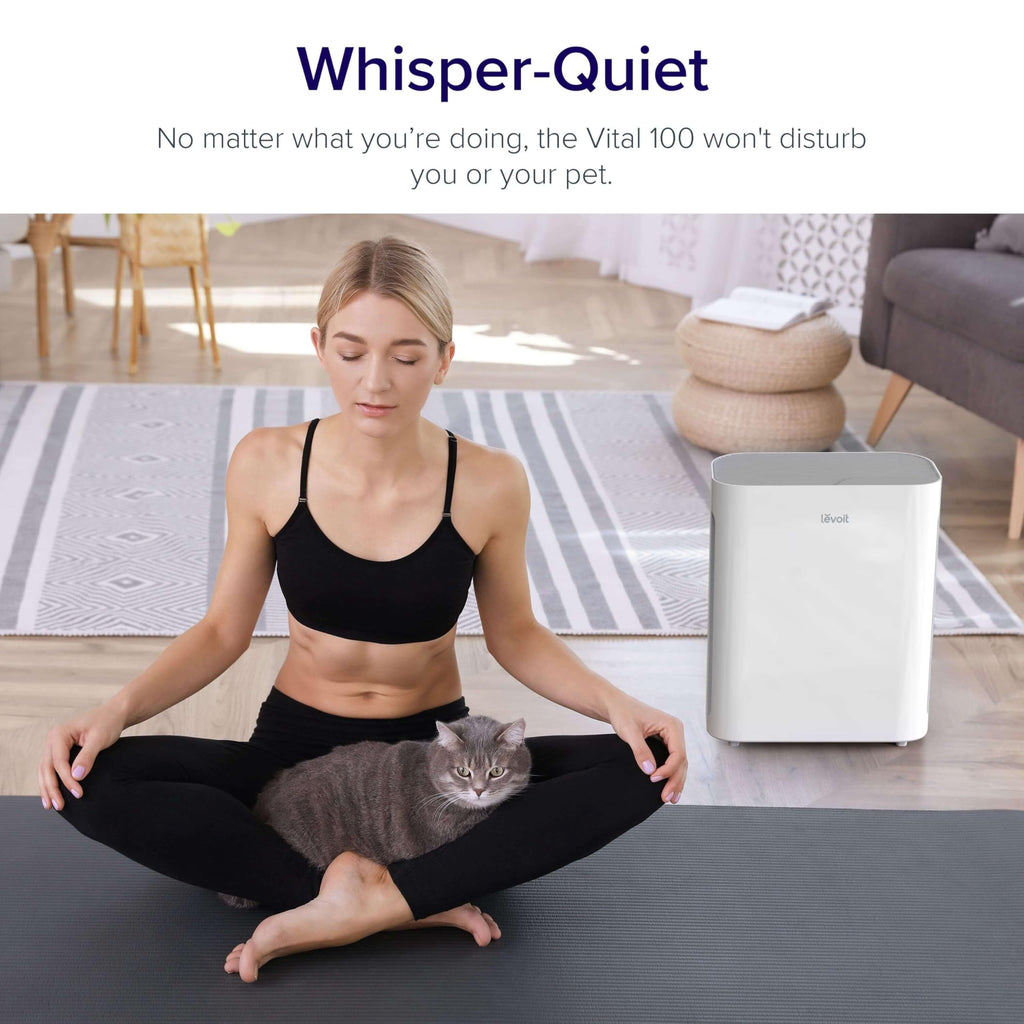 Air Purifier for Bedroom & Home