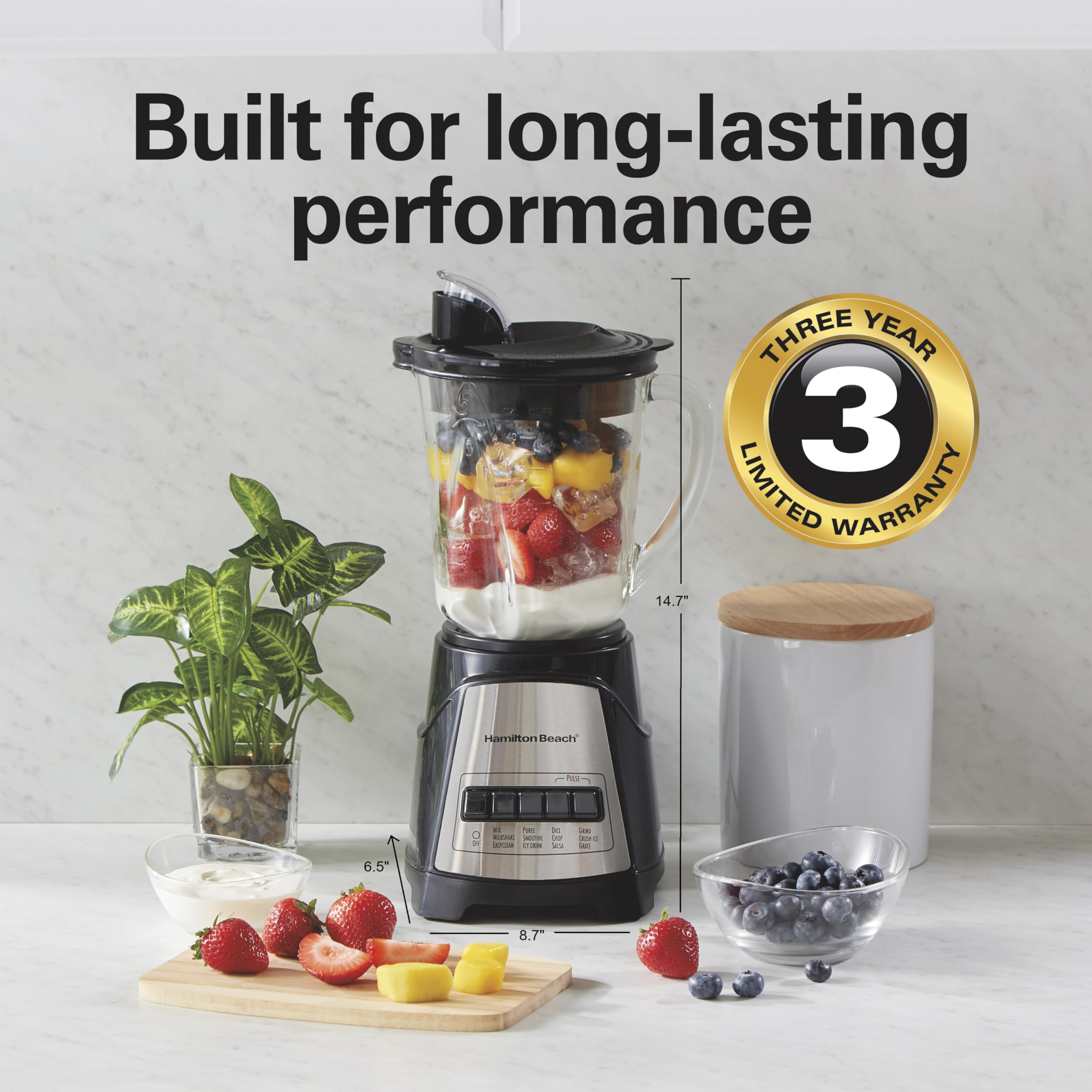 Hamilton Beach Power Elite Blender