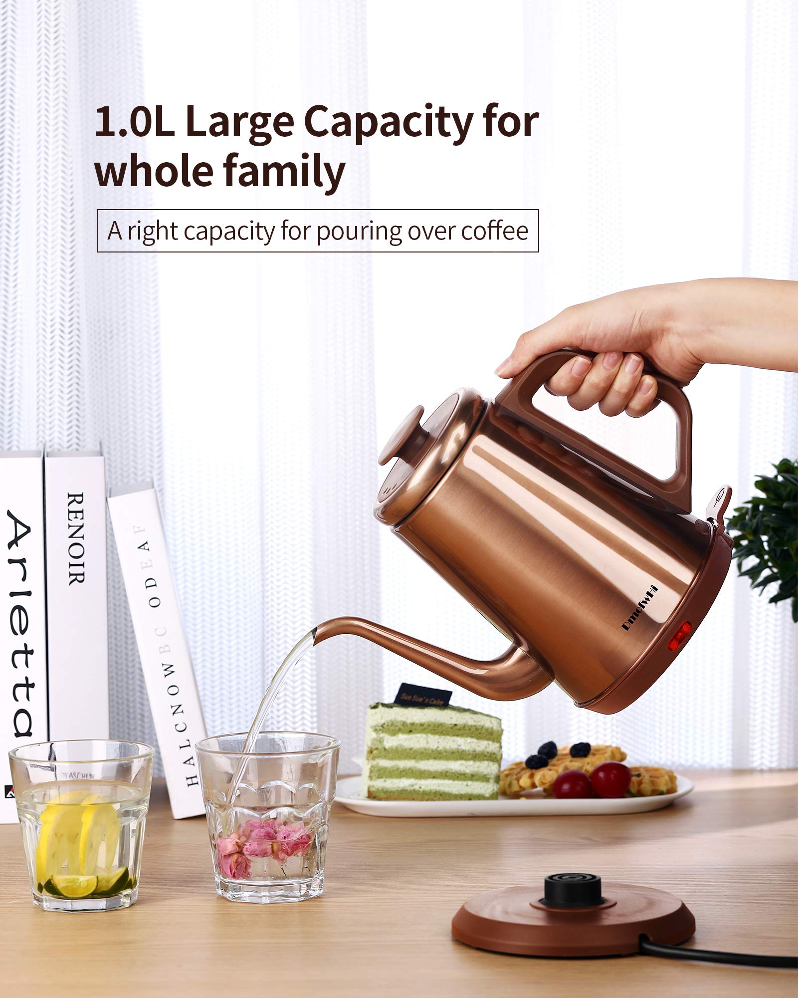 1.0L Gooseneck Electric Kettle
